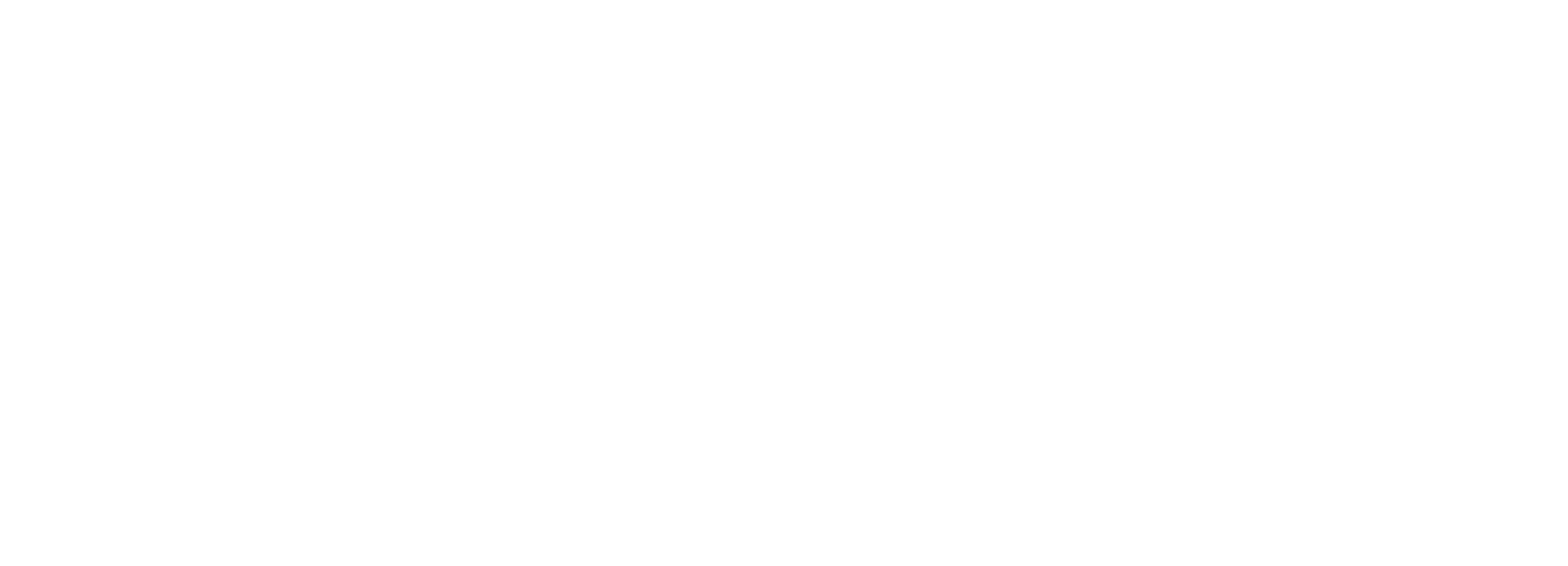 Radio Controlled Garage Door & Gate White Logo